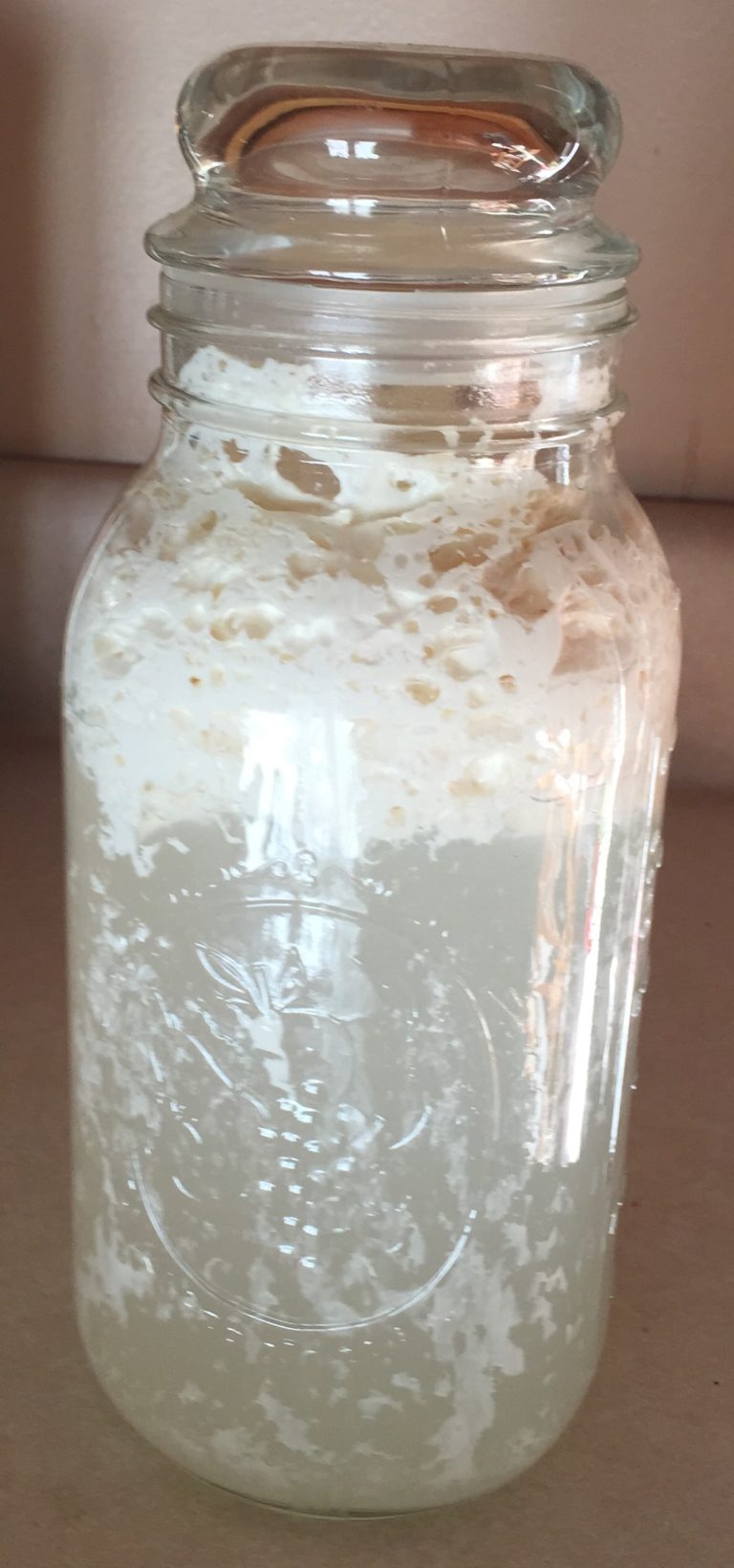 How to Make and Use Your Own Lactobacillus Culture