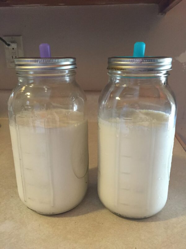 How to Make and Use Your Own Lactobacillus Culture – The Dude Grows Show