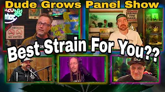 Dude Grows Show 1568 Panel Show 7