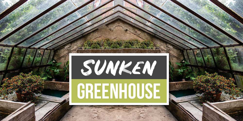 The Sunken Greenhouse