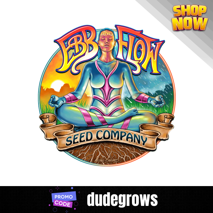 Ebb And Flow Seed Company