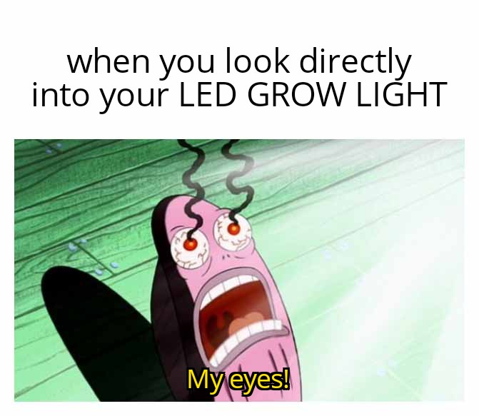 When you accidentally look at your light