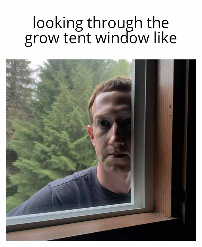 Looking into the tent window